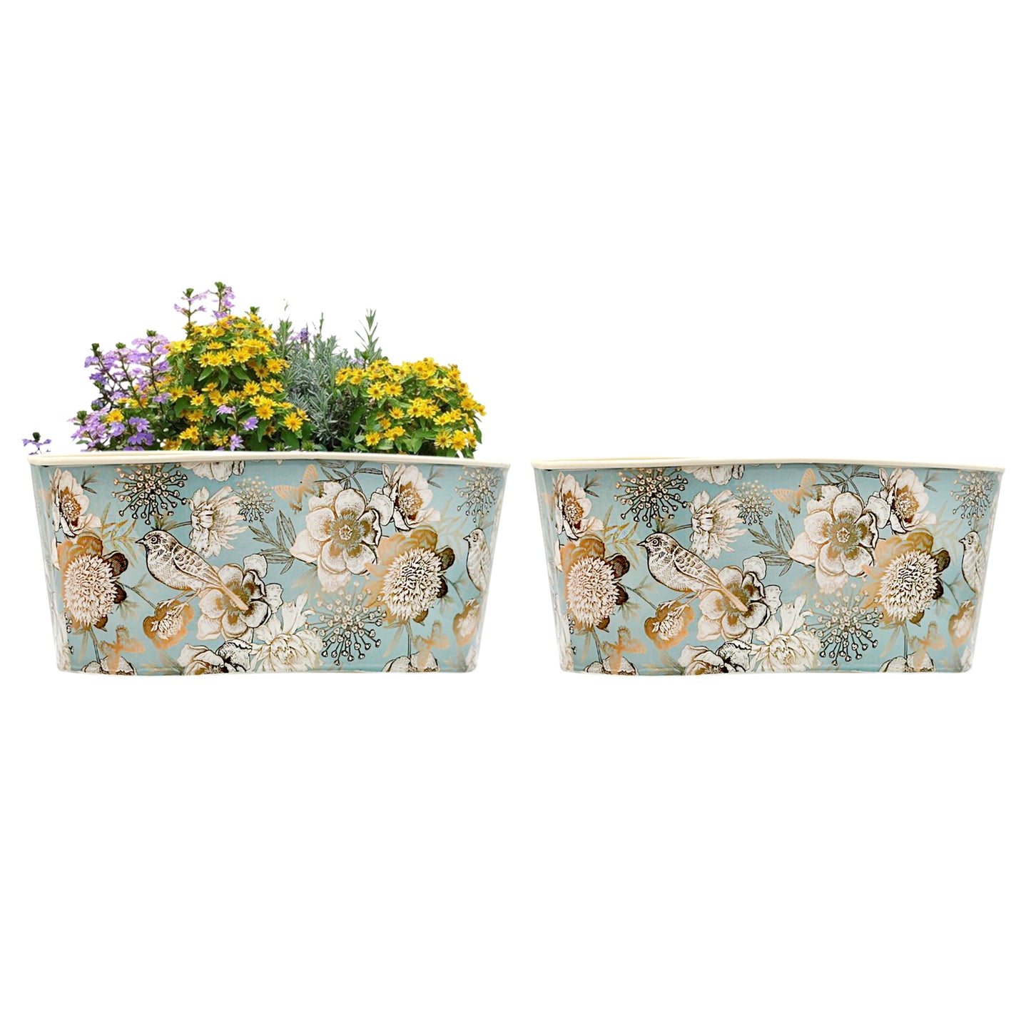 Galvanised Birdie Oval Pot