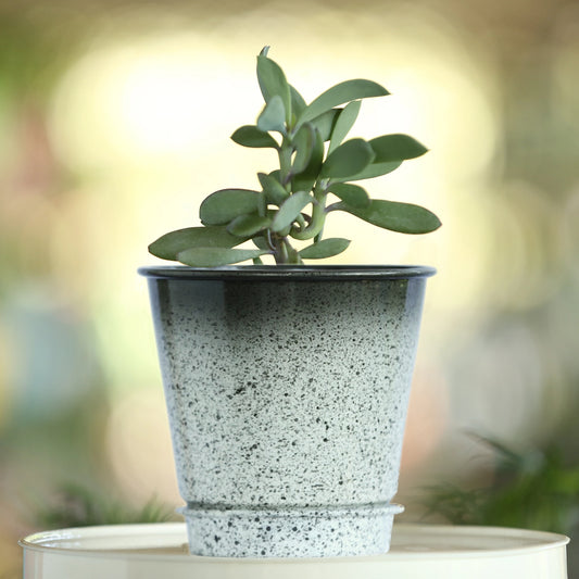 Galvanised Gradient Pot