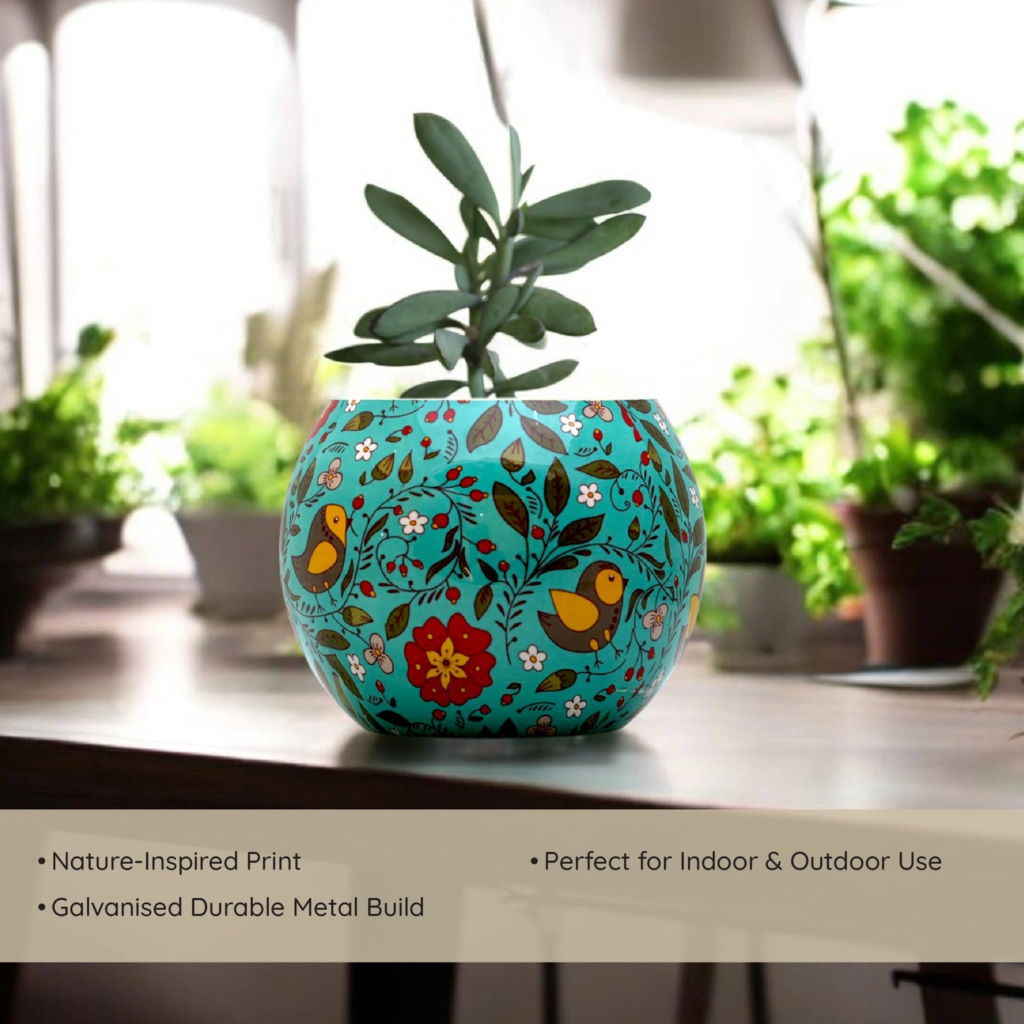 Galvanised Printed Ball Pot