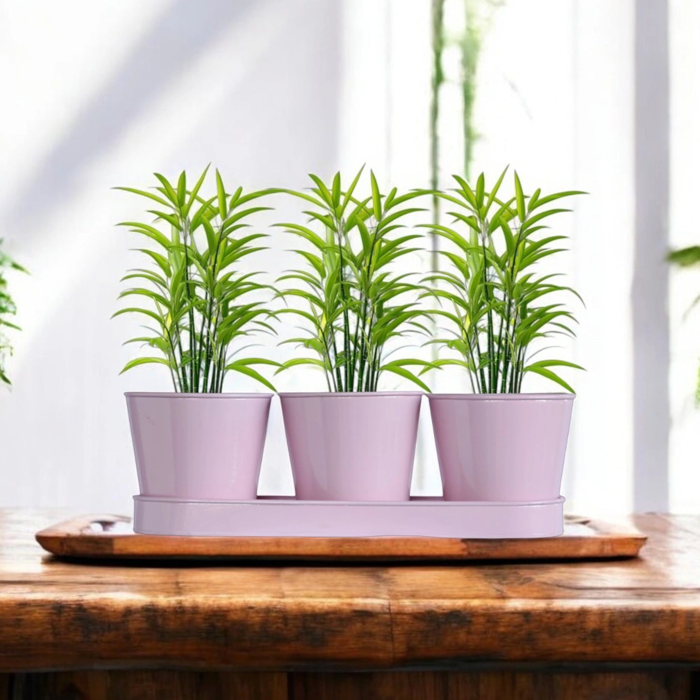 3 Herb Pot Set with Tray - Pink