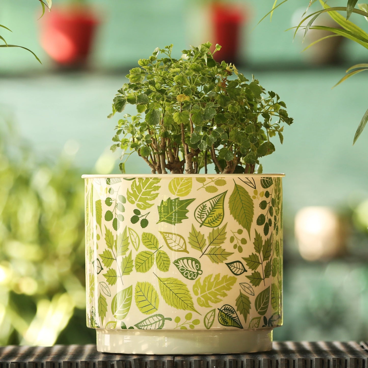 Printed Galvanised Pot-Natural Print