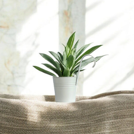 Hanging Railing Pot 10" Light Grey