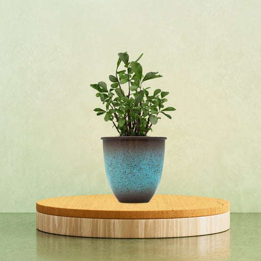 Blue Galvanised Taper Pot
