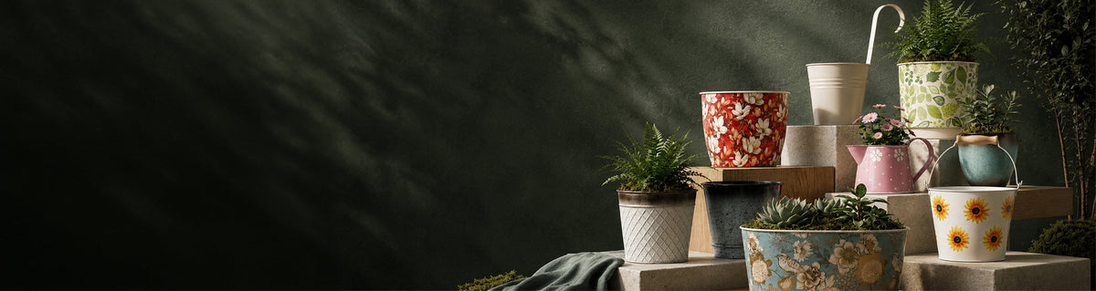 Watering & Care