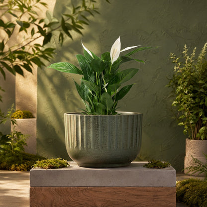 Ribbed Bowl Planter