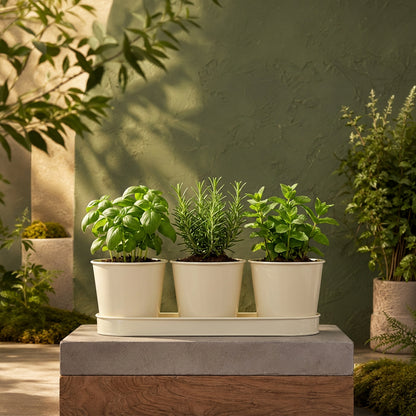 Three Herb Pot Set with Tray