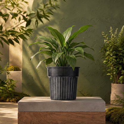 Galvanised Ribbed Metal Pot