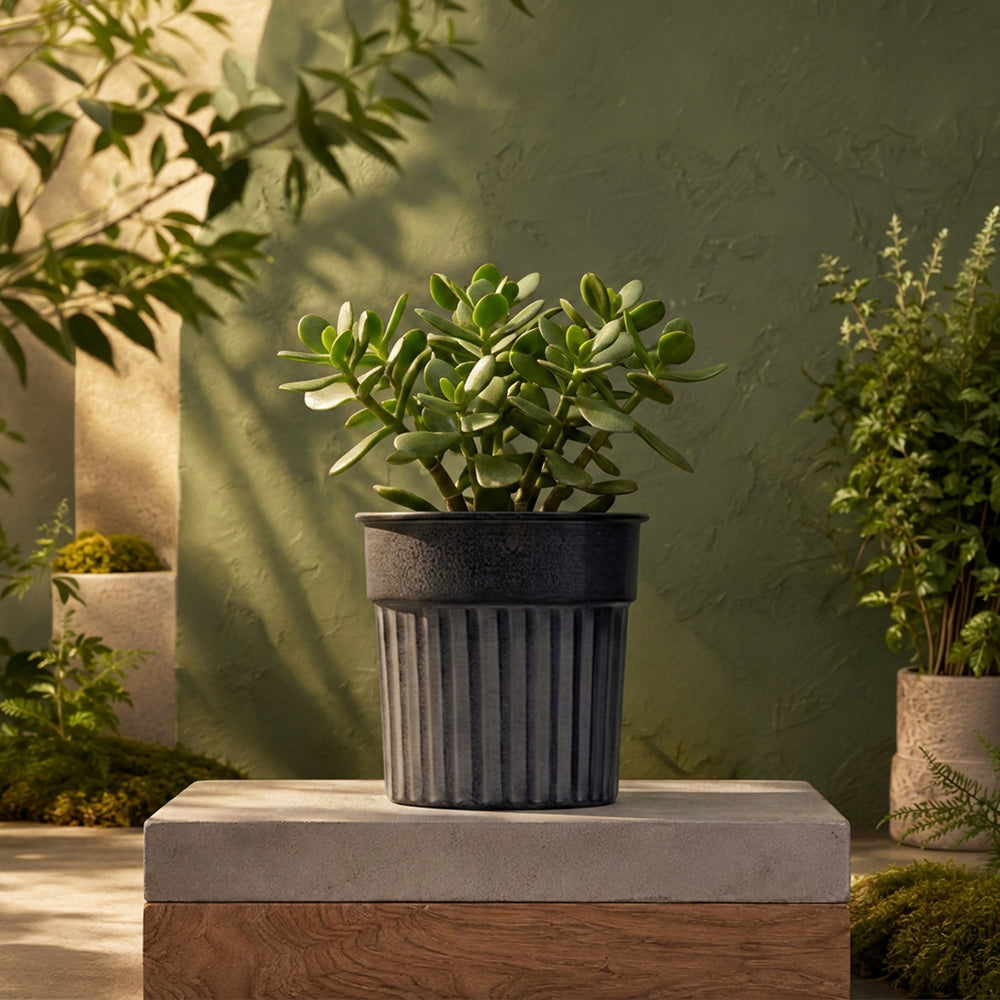 Galvanised Ribbed Metal Pot