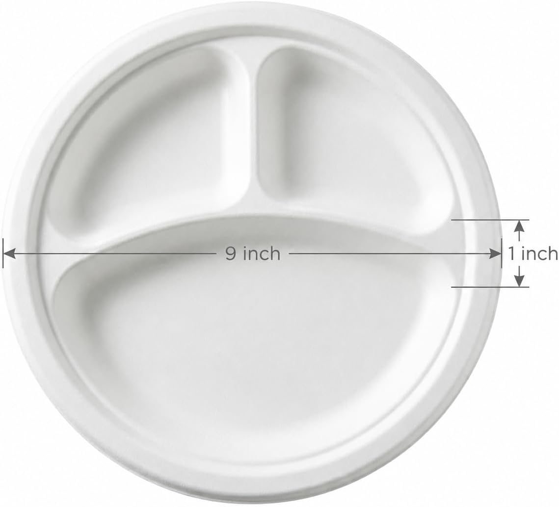 3 Compartment Meal Plate