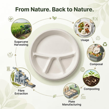 The Happy Garden Compostable Compartment Plates