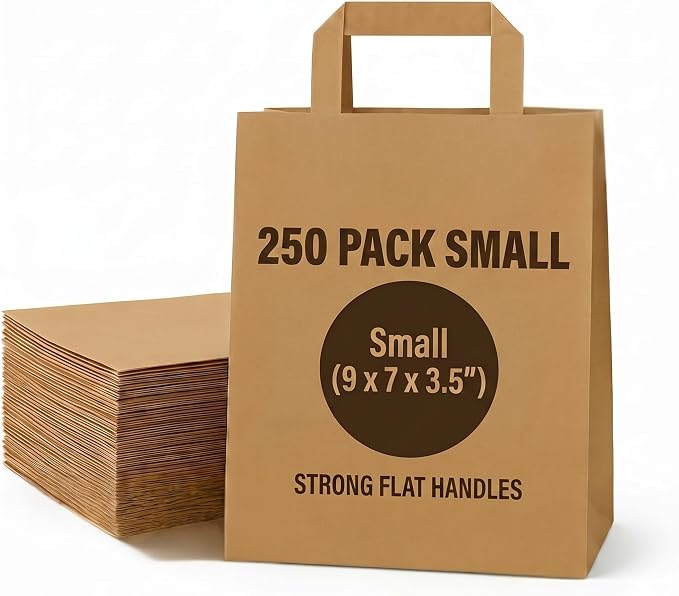 Brown Kraft Paper Bag with Twisted Handles