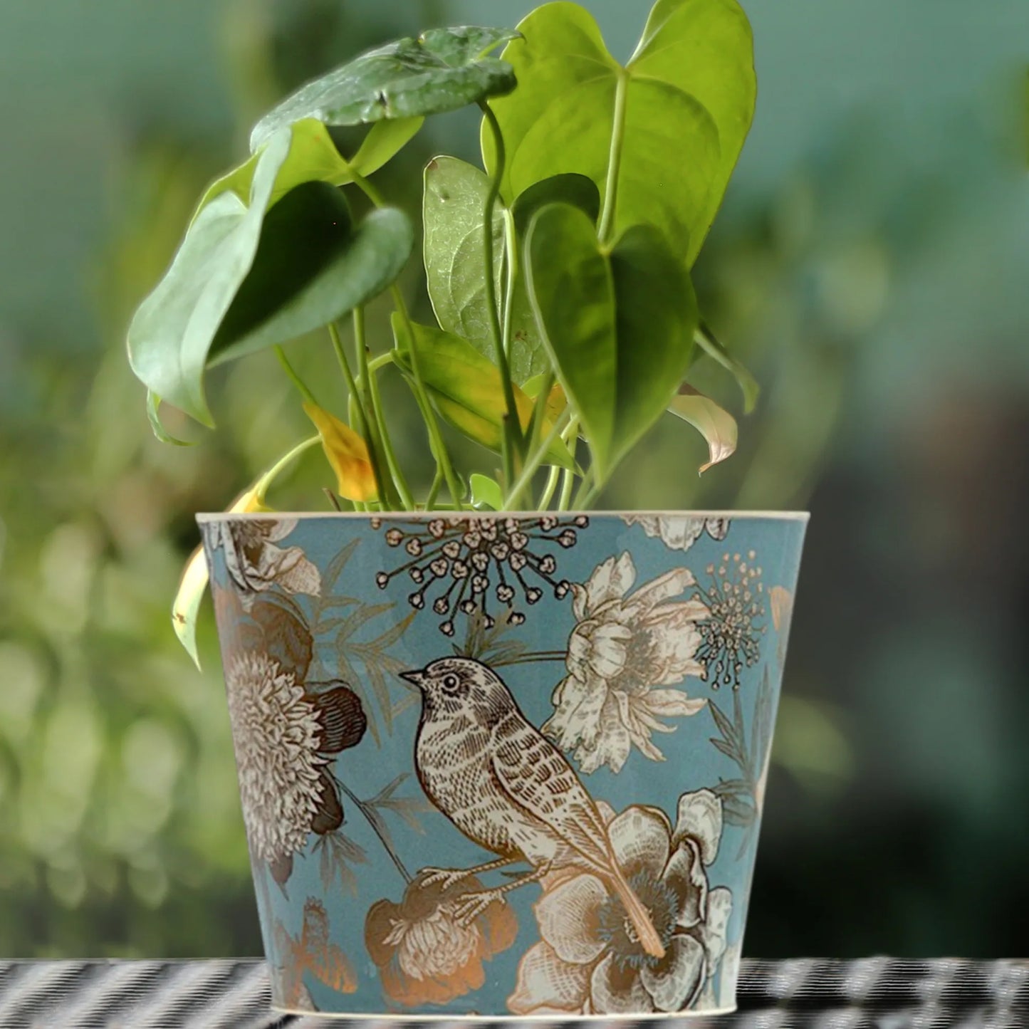 Galvanised Birdie Pot