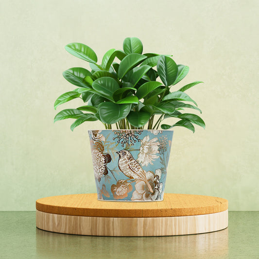 Galvanised Birdie Pot