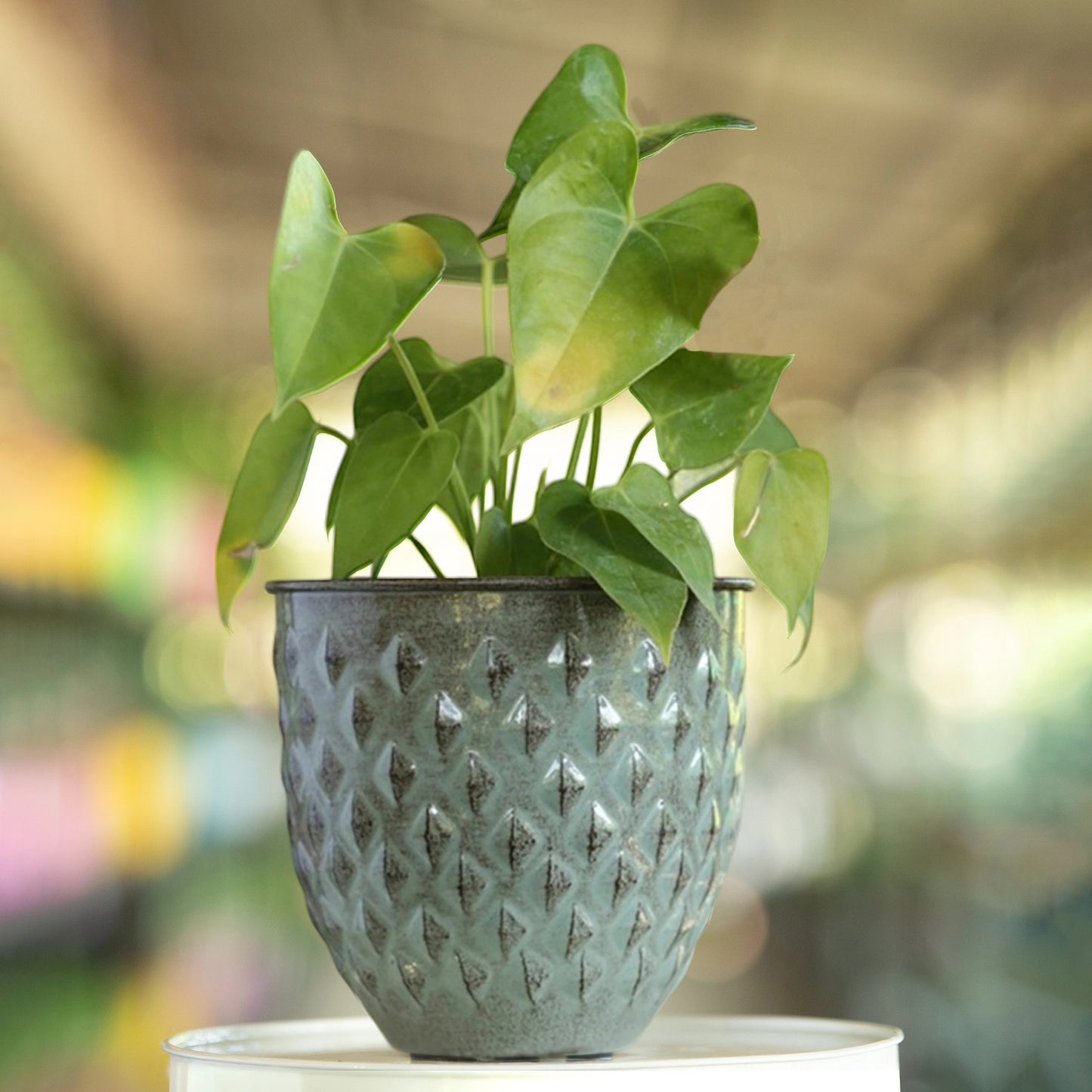 Galvanised Diamond Planter