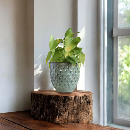 Galvanised Diamond Planter