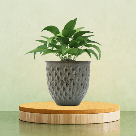 Galvanised Diamond Planter