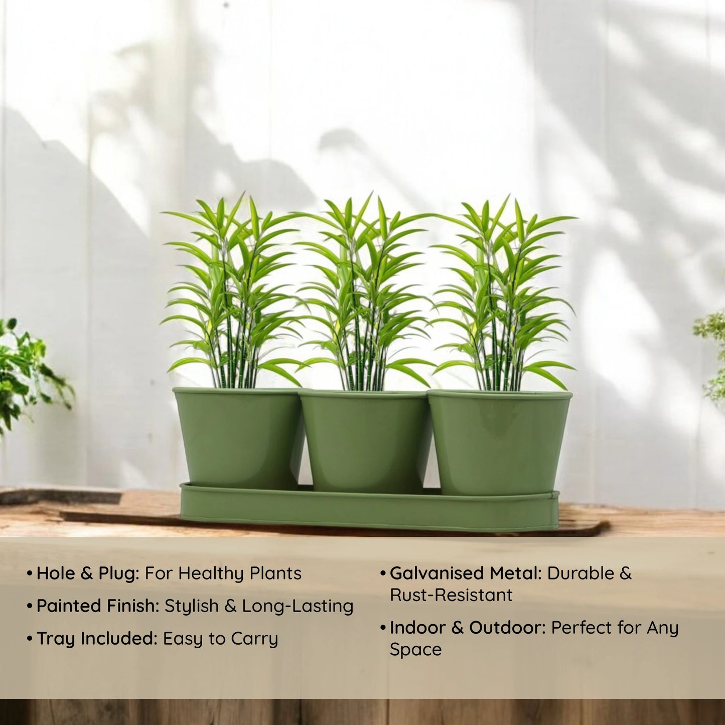 3 Herb Pot Set with Tray-Green