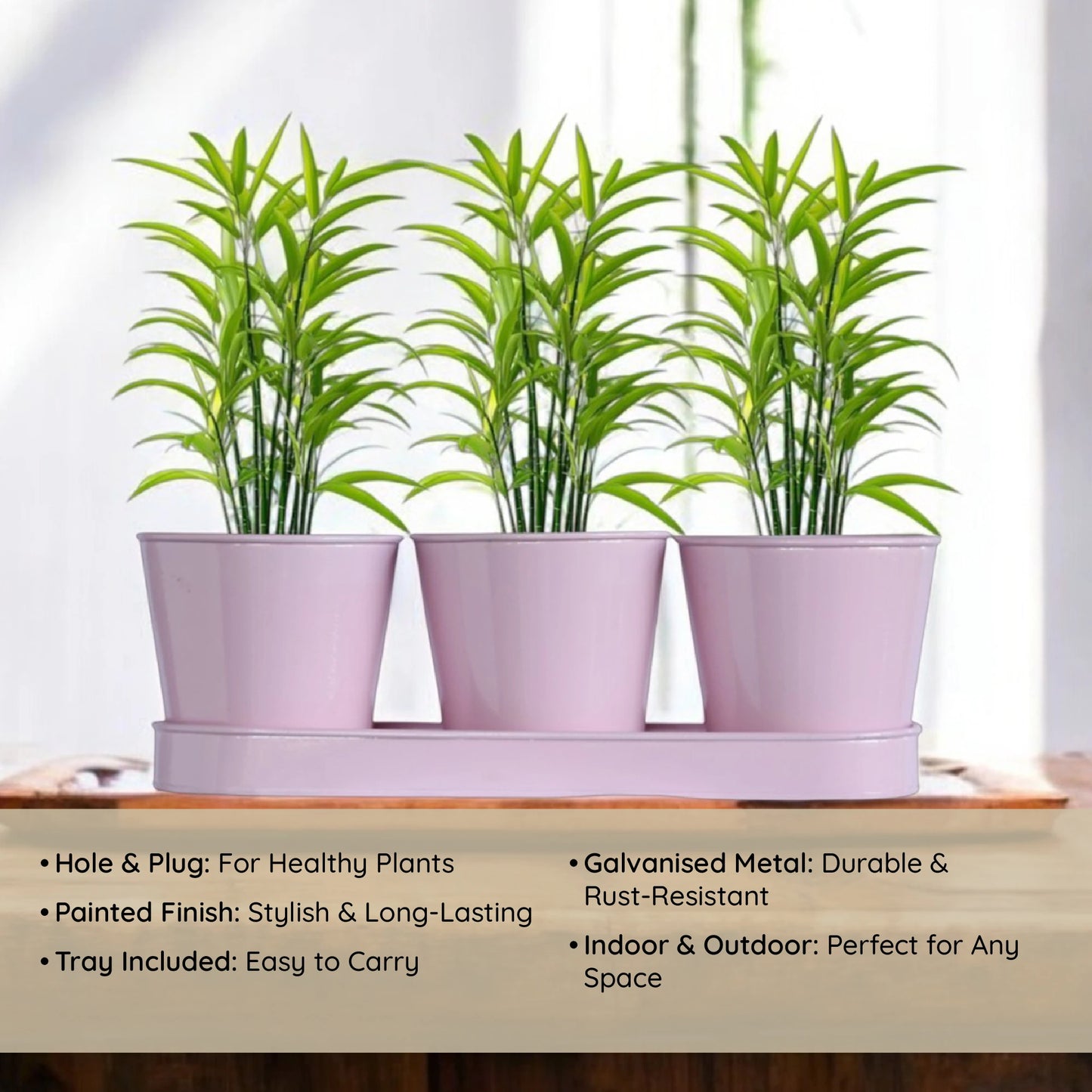 3 Herb Pot Set with Tray - Pink
