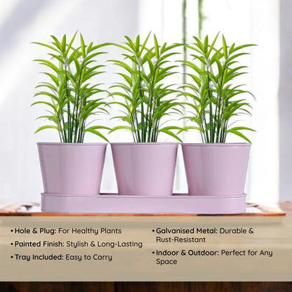 3 Herb Pot Set with Tray - Pink