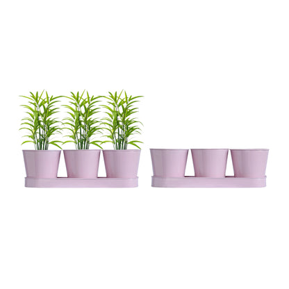 3 Herb Pot Set with Tray - Pink