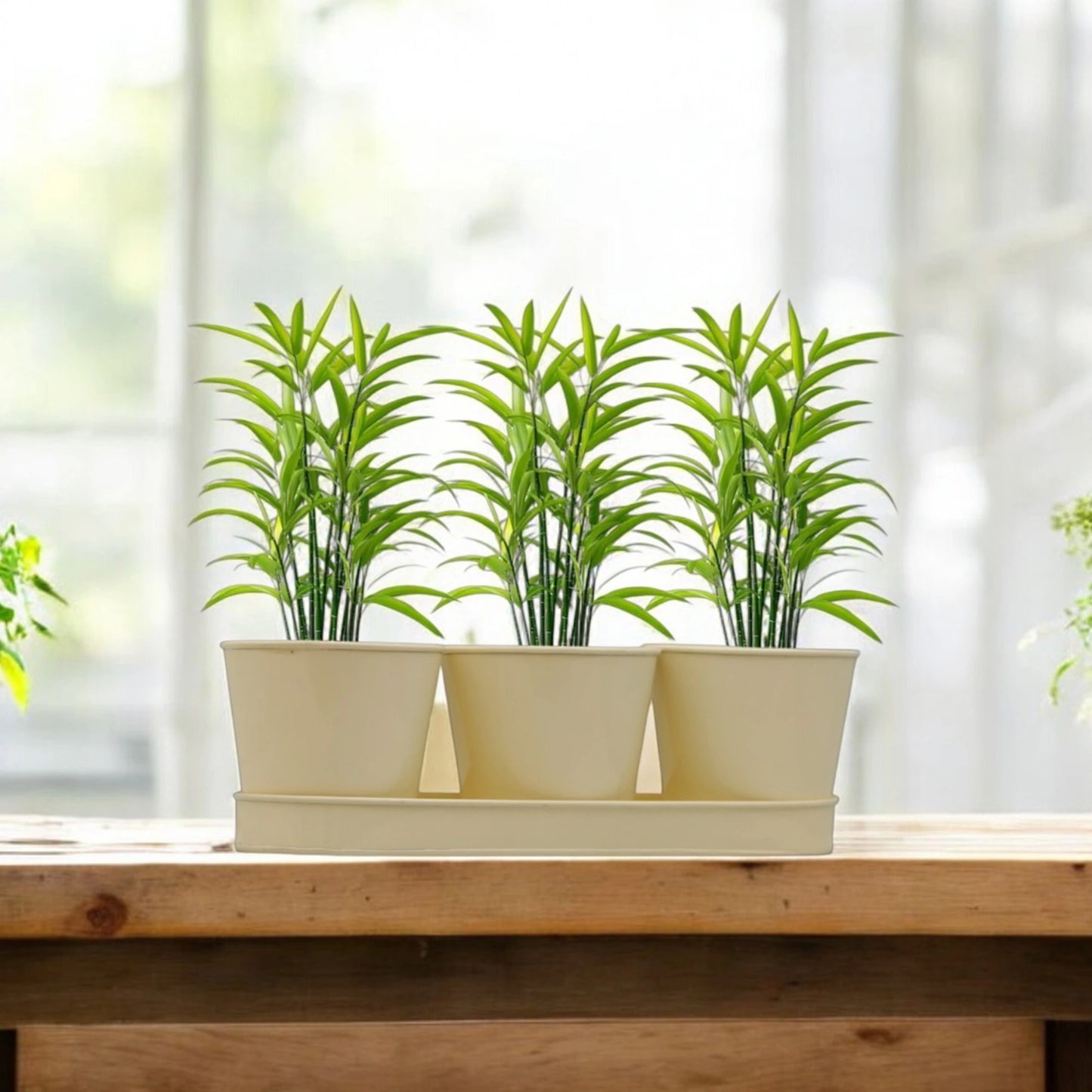 3 Herb Pot Set with Tray-Cream