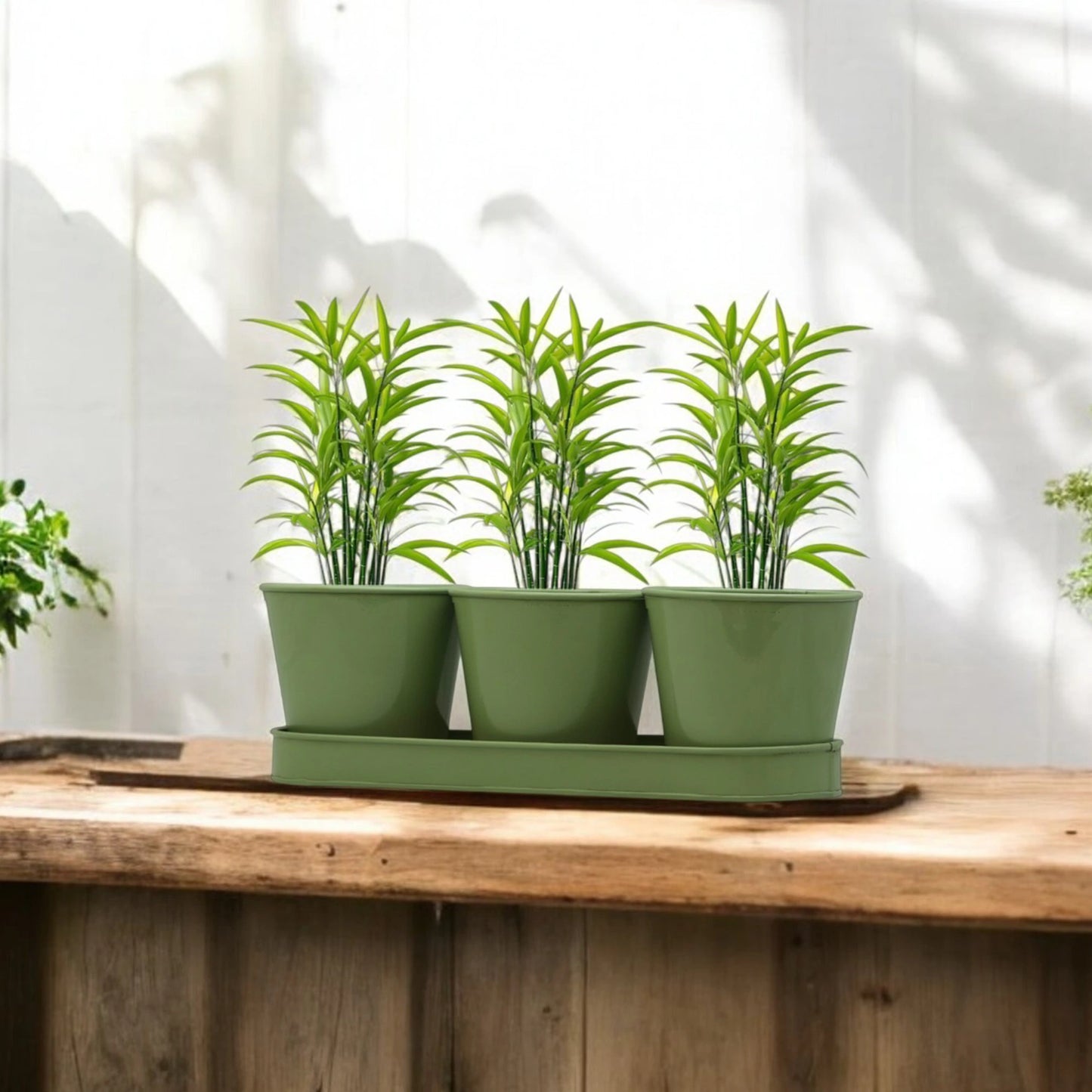 3 Herb Pot Set with Tray-Green