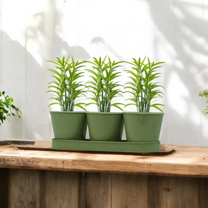 3 Herb Pot Set with Tray-Green