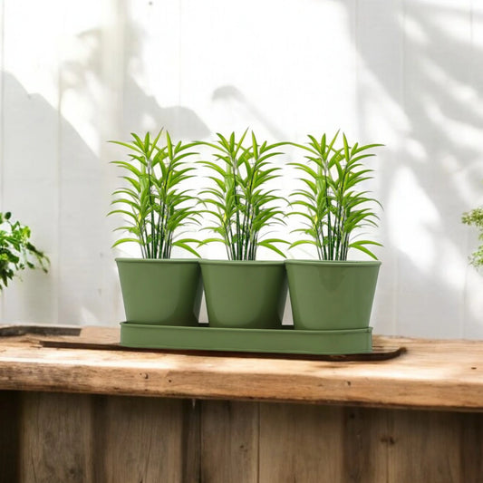 3 Herb Pot Set with Tray-Green