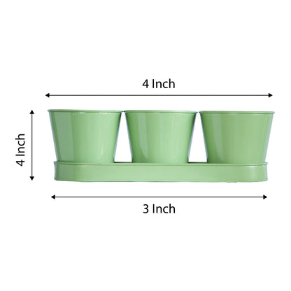 3 Herb Pot Set with Tray-Green