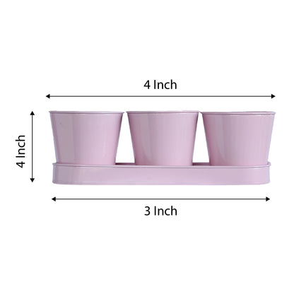 3 Herb Pot Set with Tray - Pink