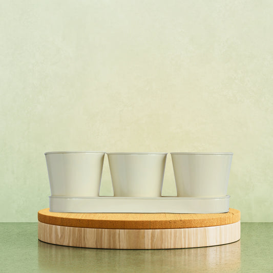 3 Herb Pot Set with Tray-Cream