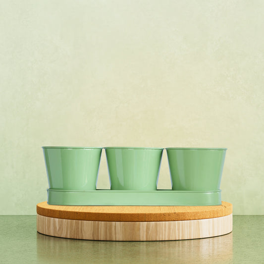 3 Herb Pot Set with Tray-Green