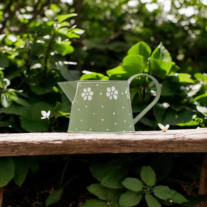 Lipped Galvanised Watering Can in Green