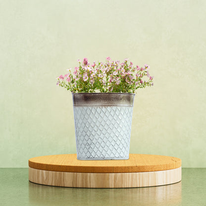 Galvanised Silver Planter with Copper - Top