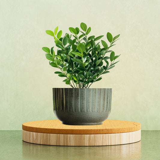 Galvanised Ribbed Bowl Planter
