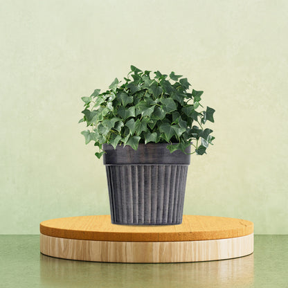 Ribbed Metal Planter