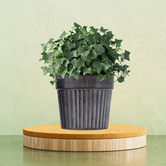 Galvanised Ribbed Metal Pot – Silver Antique Finish (Medium)