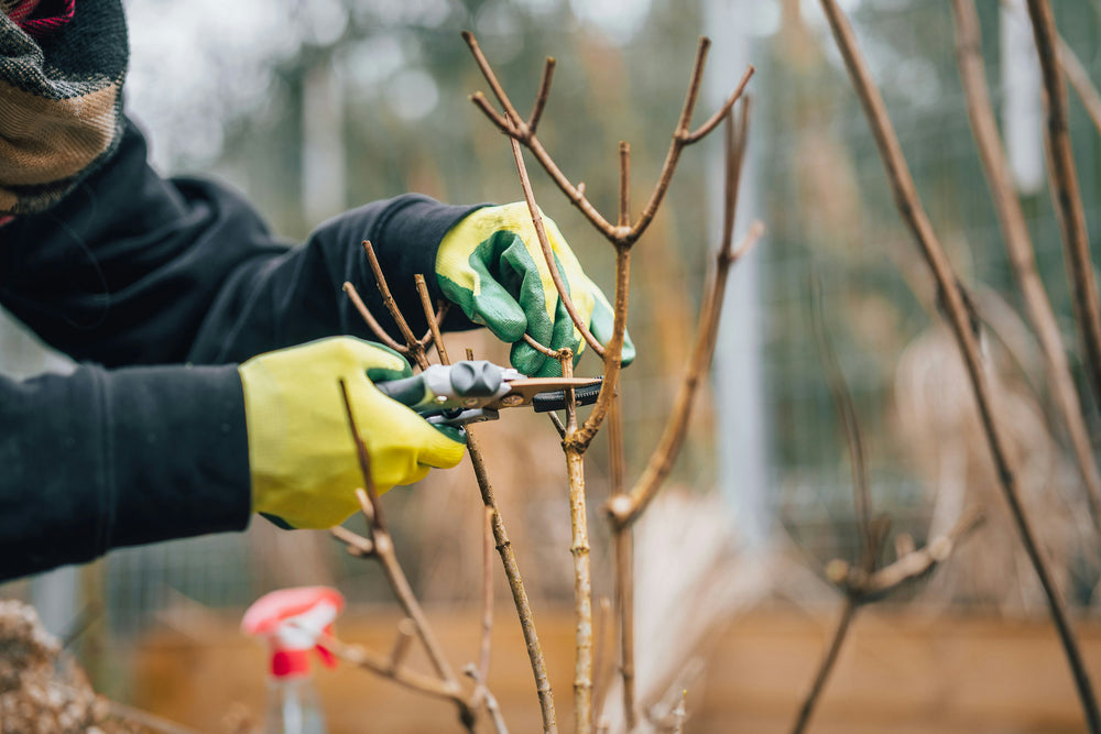 Gardening Gloves